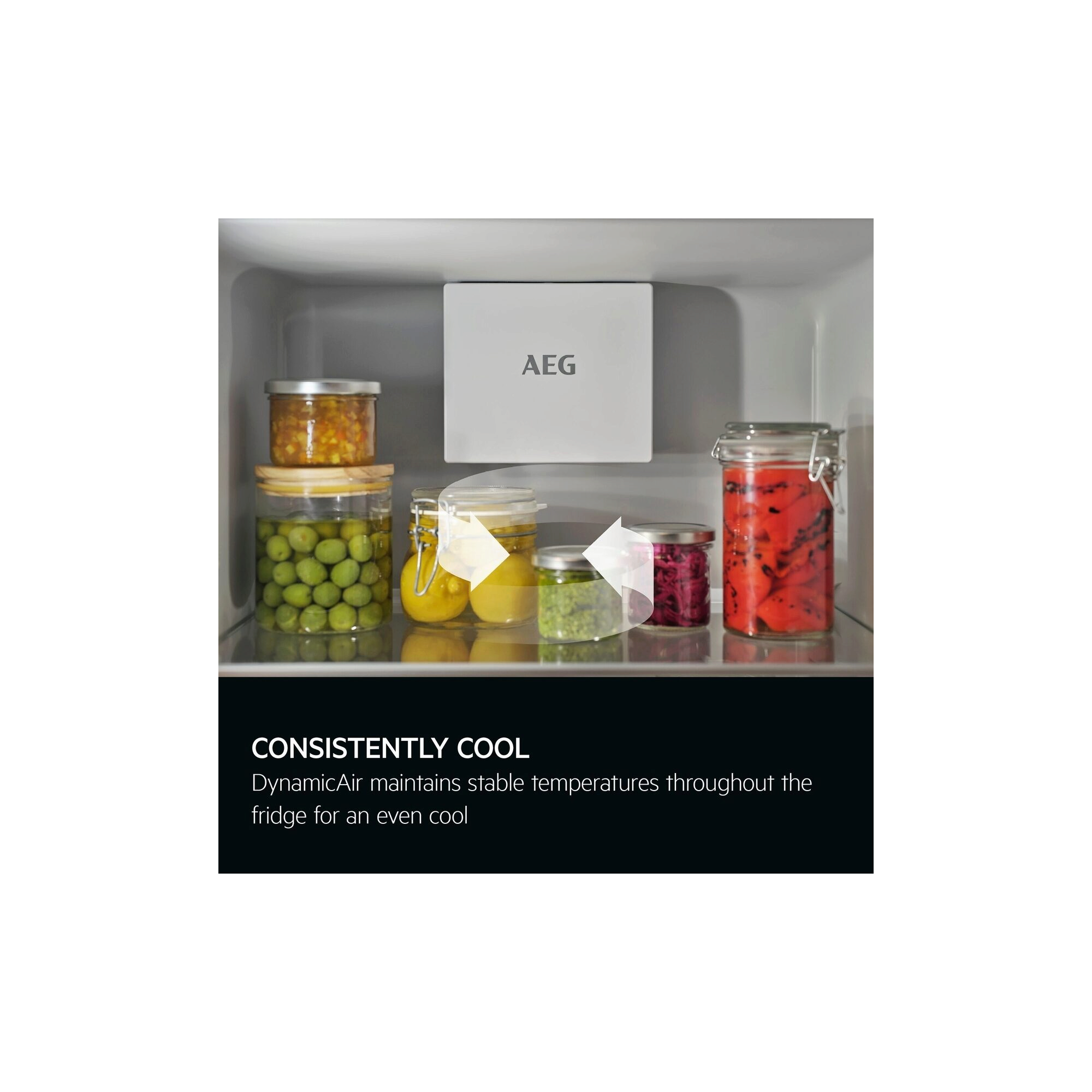 AEG - Integrated Refrigerator - TF6DS181ES